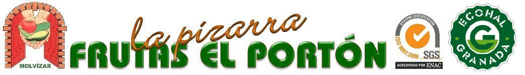 Pizarra -