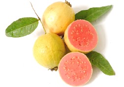 Guayaba