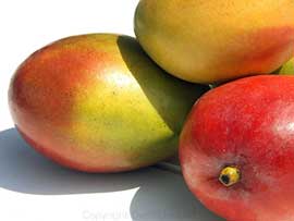 mangos